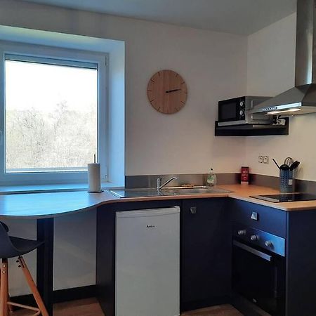 Studio Avec Vue Sur La Vezere อูแซร์ช ภายนอก รูปภาพ